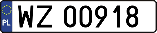 WZ00918