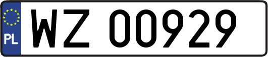 WZ00929