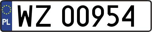 WZ00954