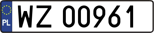 WZ00961