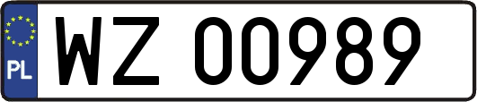 WZ00989