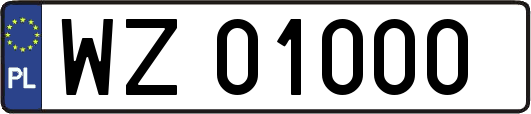 WZ01000