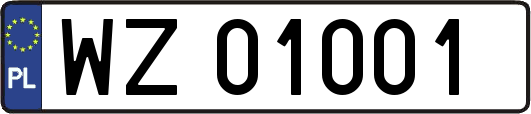 WZ01001