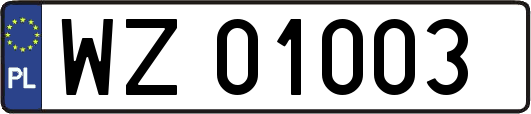 WZ01003