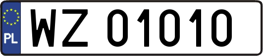 WZ01010