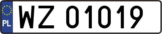 WZ01019