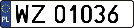 WZ01036