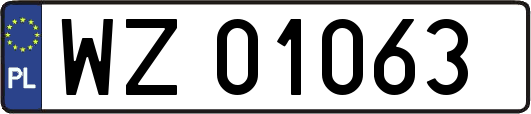 WZ01063