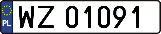 WZ01091