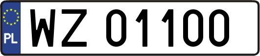 WZ01100