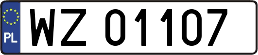 WZ01107