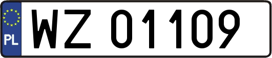 WZ01109