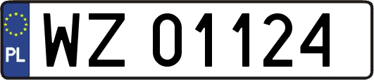 WZ01124