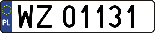 WZ01131