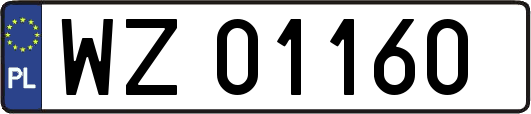WZ01160
