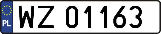 WZ01163