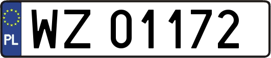 WZ01172