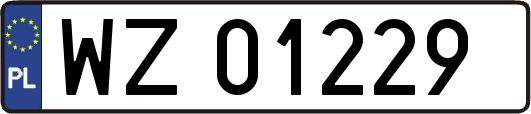 WZ01229