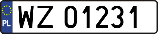 WZ01231