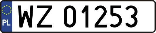 WZ01253