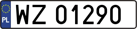 WZ01290