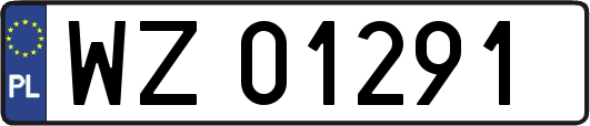 WZ01291