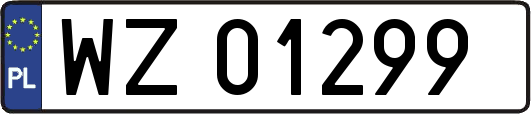 WZ01299