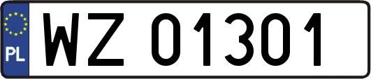 WZ01301