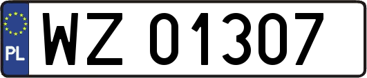 WZ01307