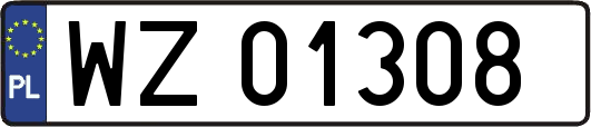 WZ01308