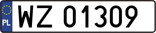 WZ01309