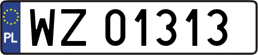 WZ01313