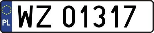 WZ01317