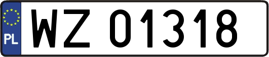 WZ01318