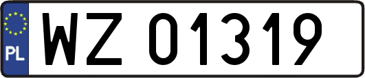 WZ01319