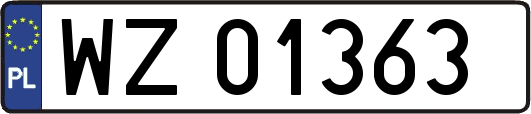 WZ01363