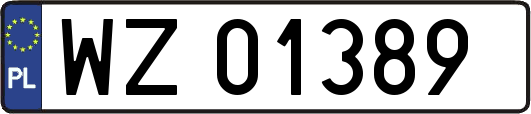 WZ01389