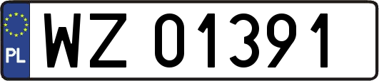 WZ01391