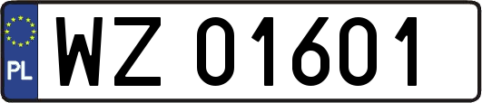 WZ01601