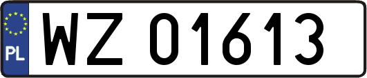 WZ01613