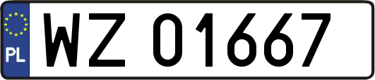WZ01667