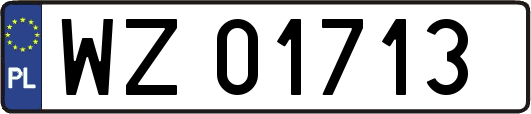 WZ01713