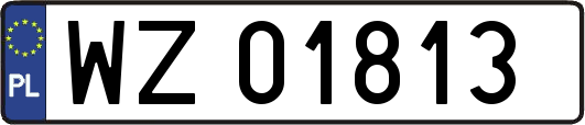 WZ01813