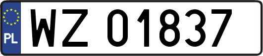 WZ01837