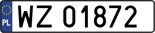 WZ01872