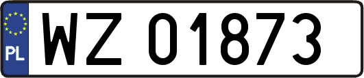 WZ01873