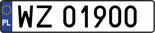 WZ01900