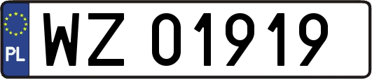 WZ01919