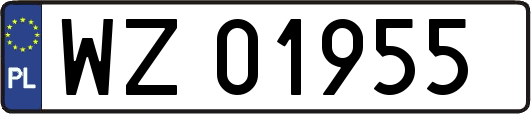WZ01955