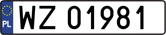 WZ01981